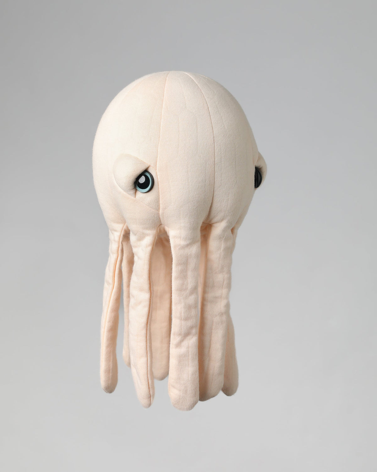 The Mini Octopus