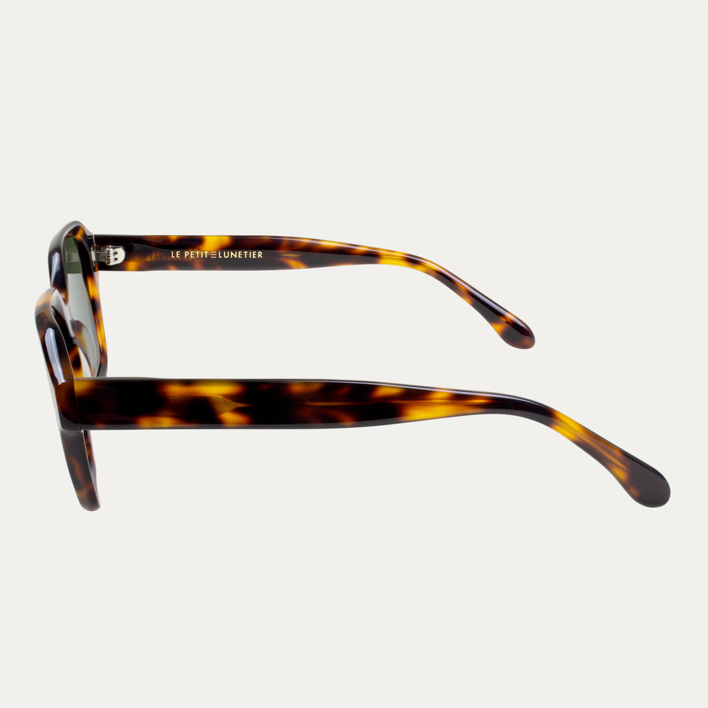 Gafas de sol Dexter.M - Carey - Hombre