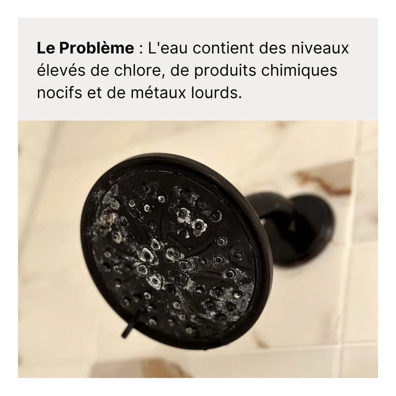 Pommeau de Douche Filtrant + 1 Filtre (2 mois de filtration)
