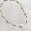 Collar belvi
