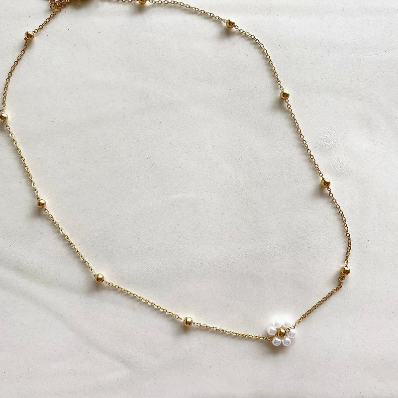 Collar belvi