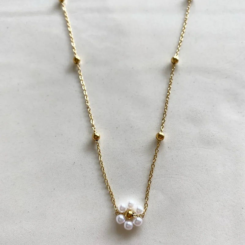 Collar belvi