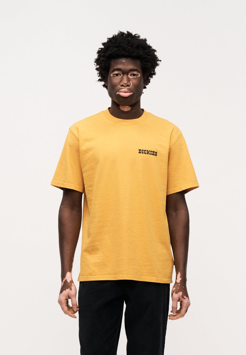 T-shirt a maniche corte Dickies Darrtown Sunflower - T-shirt a maniche corte - Sunflower