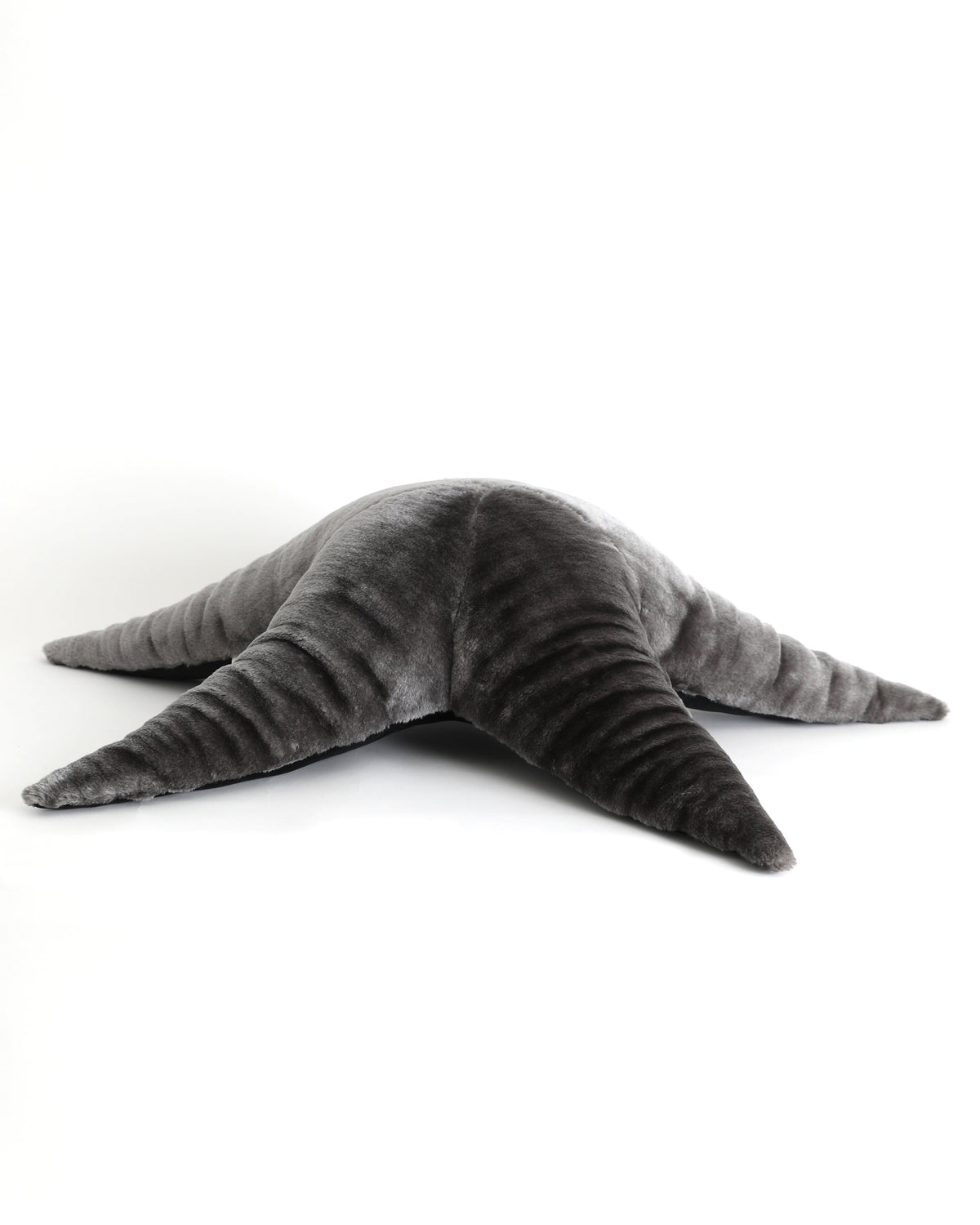 The Starfish