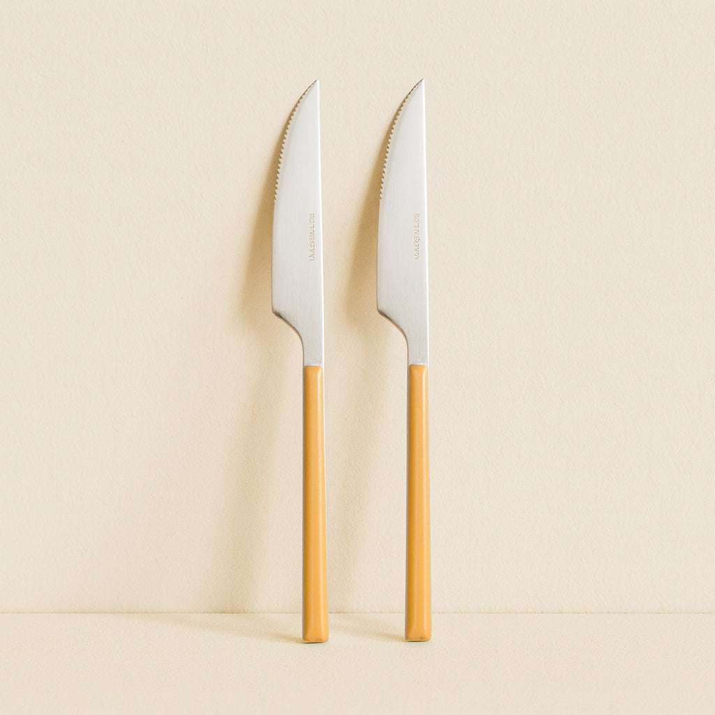 Set of 6 Colorama Table Knives - 23.5 cm - Stainless Steel