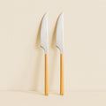 Set of 6 Colorama Table Knives - 23.5 cm - Stainless Steel