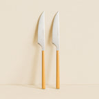 Set of 6 Colorama Table Knives - 23.5 cm - Stainless Steel
