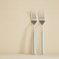 Set of 6 Colorama Forks - 21 cm - Stainless Steel