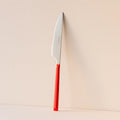 Set of 6 Colorama Table Knives - 23.5 cm - Stainless Steel