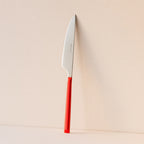 Set of 6 Colorama Table Knives - 23.5 cm - Stainless Steel