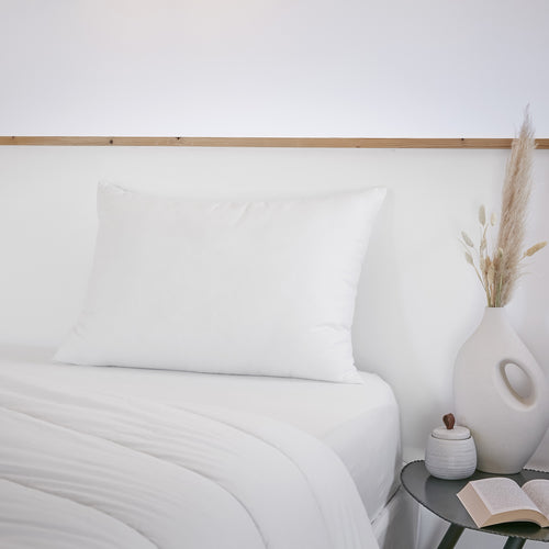 Oreiller Coton Anti Acariens - Coton - Sirius - Blanc