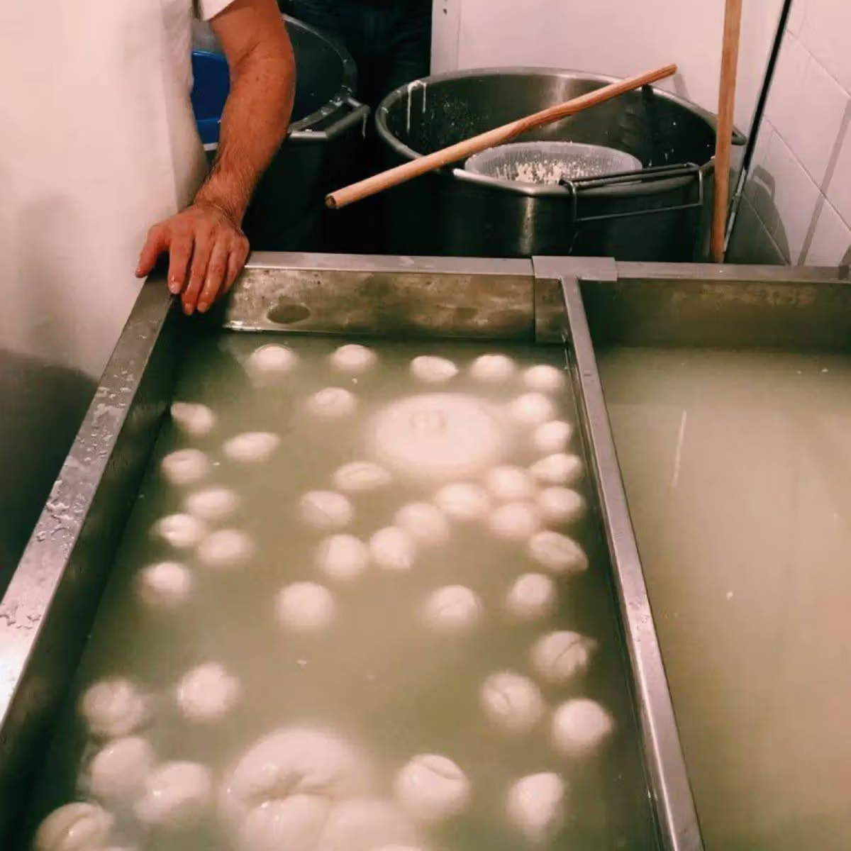 Elabora Tu Mozzarella - París - 1 Plaza
