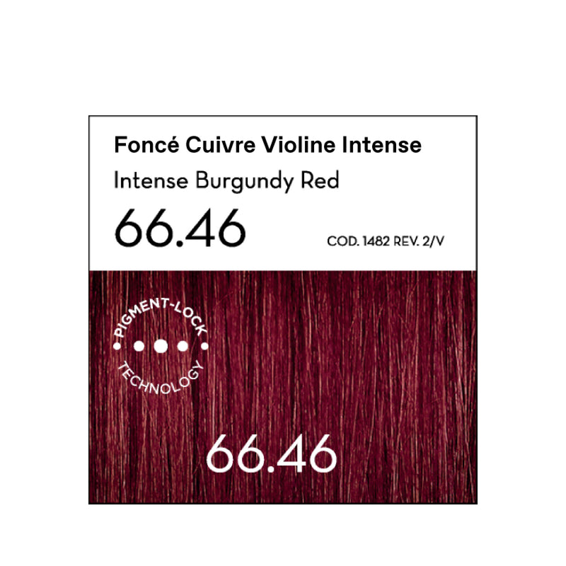 66.46 Foncé Cuivre Violine Intense Coloration - Argan