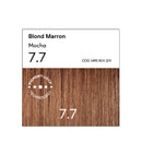 7.7 Blond Marron Coloration - Argan