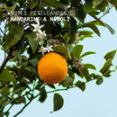 Crème Mains Mandarin Neroli 50Ml