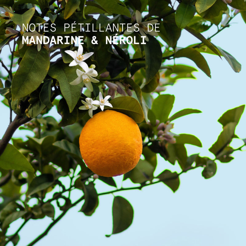 Crème Mains Mandarin Neroli 50Ml