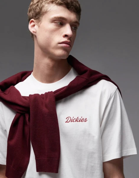 Dickies Wellsville Backprint T-Shirt In White - White