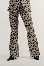 Randy Leo Green Trousers - Green