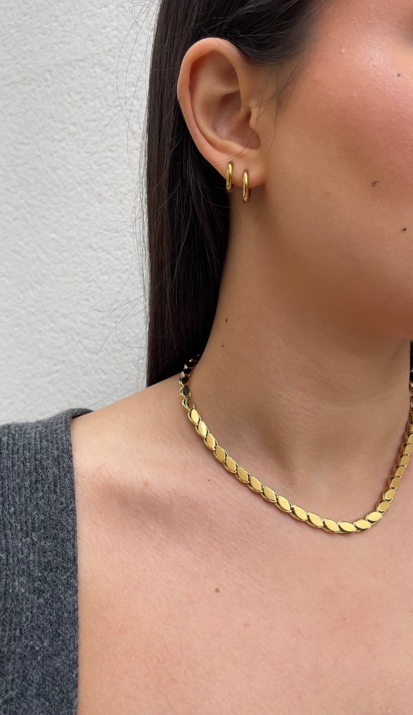 Ketting Wheat
