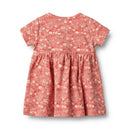 Trigo - Vestido Jersey Ss/S Nova - Bebé