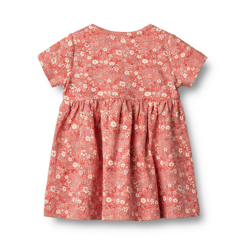 Trigo - Vestido Jersey Ss/S Nova - Bebé