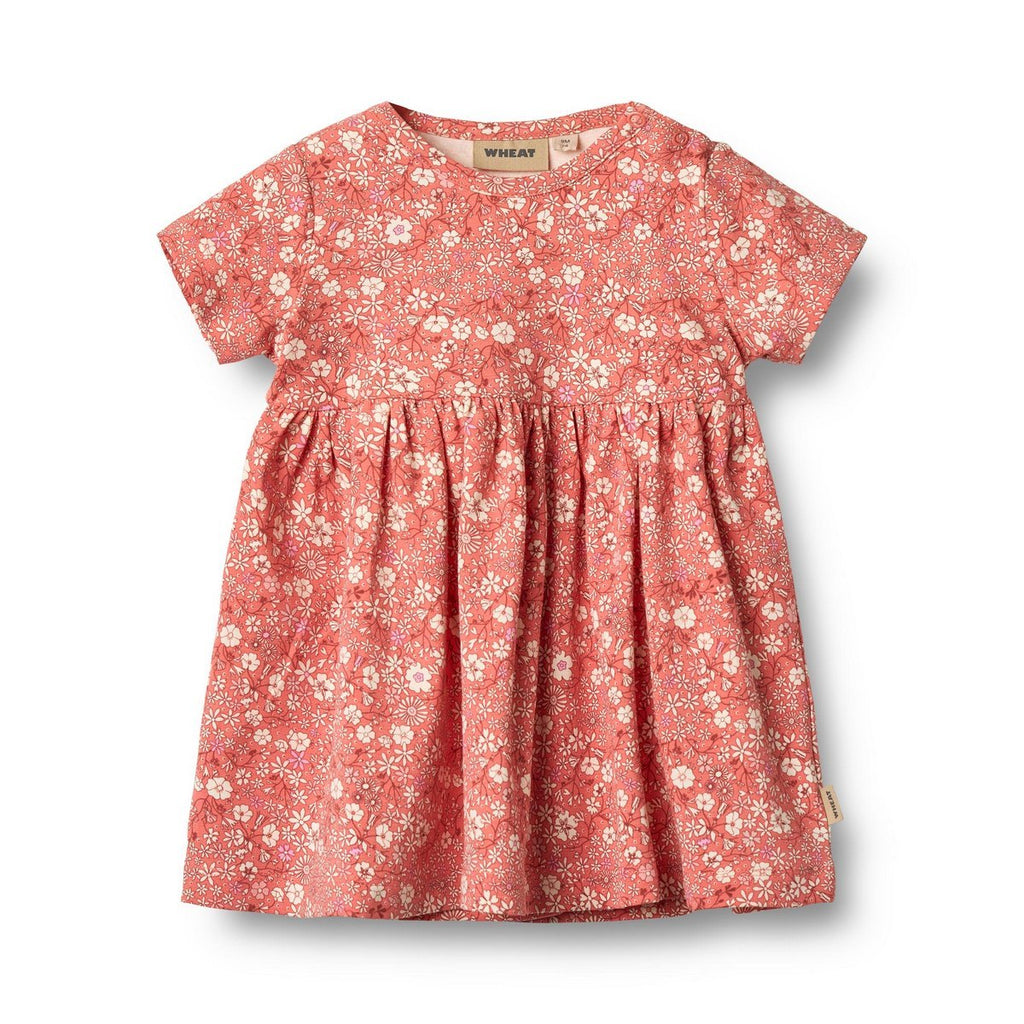 Vestido De Punto Mc/C Nova - Bebé
