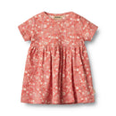 Trigo - Vestido Jersey Ss/S Nova - Bebé