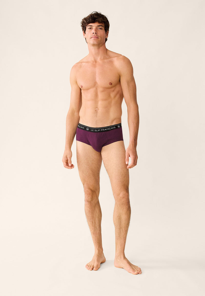 Lot De 2 Slips En Coton - Prune