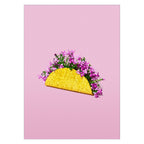 Supermercat - Flower Taco