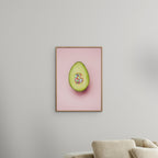 Camilla Schmidt - Avo