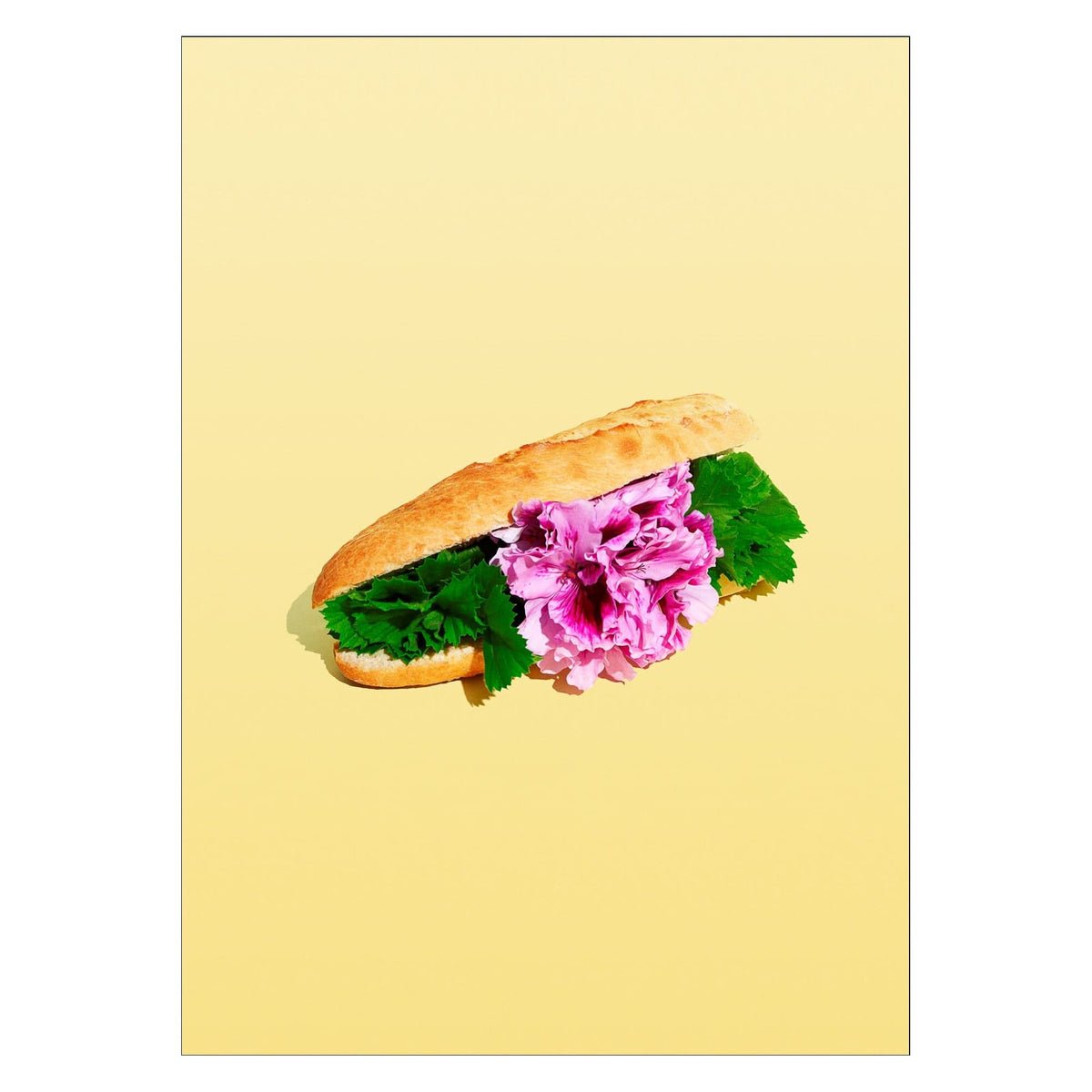 Supermercat - Flower Baguette