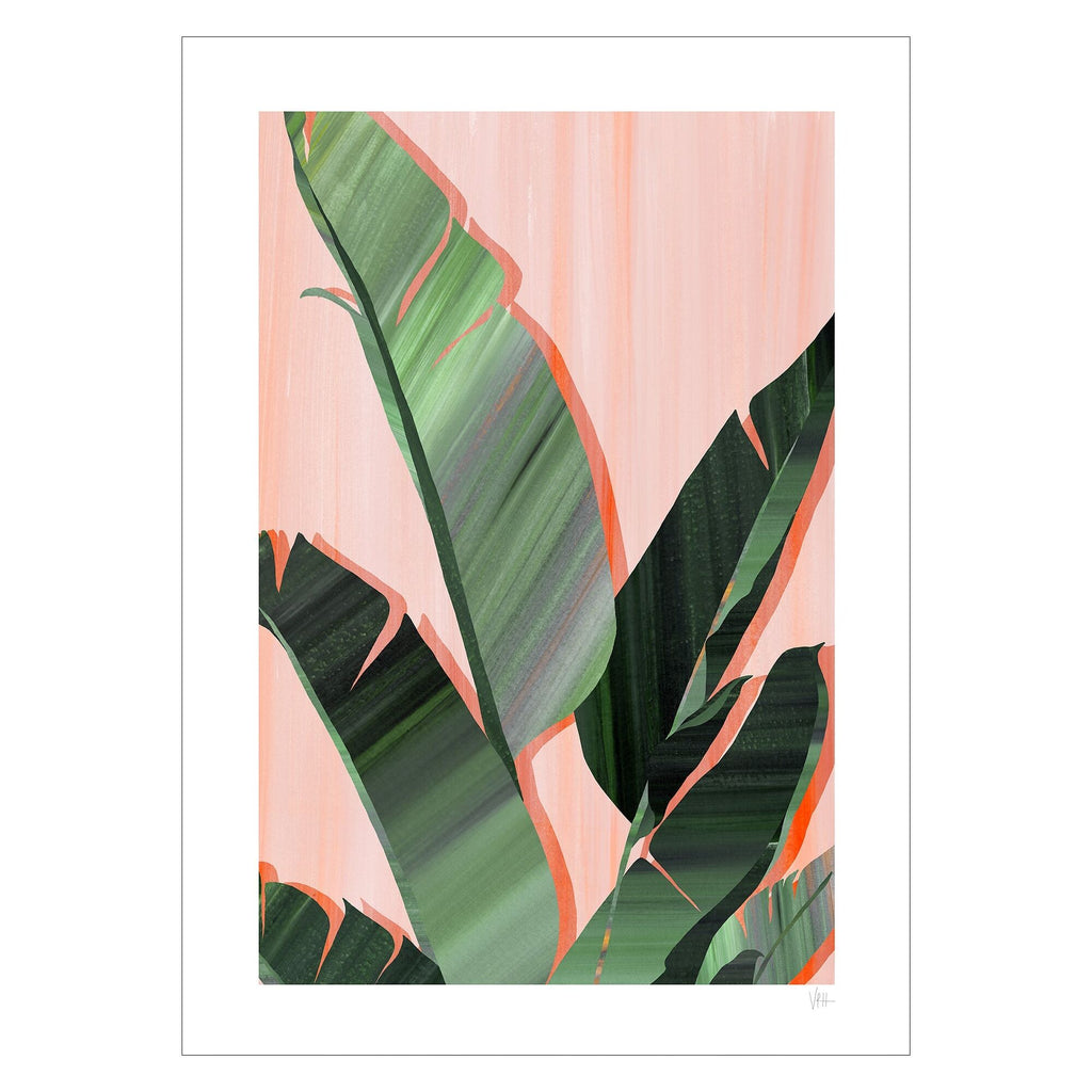 Violets Print House - Banana Leaves