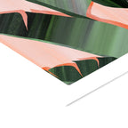 Violets Print House - Banana Leaves