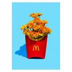 Supermercat - Flower Fries