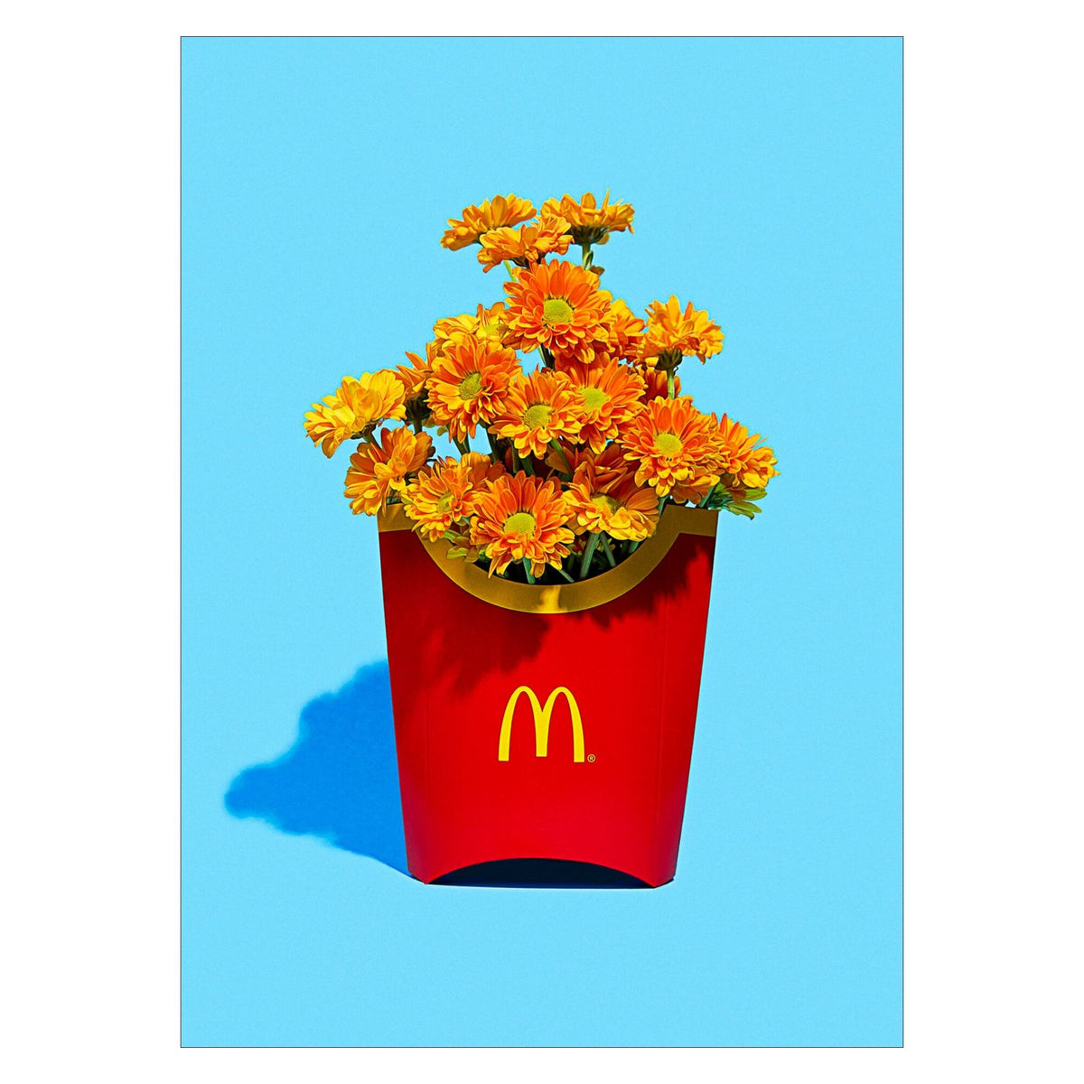 Supermercat - Flower Fries