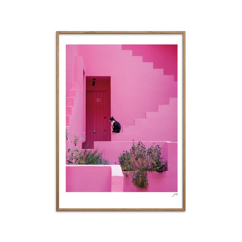Flip - Pink Panther