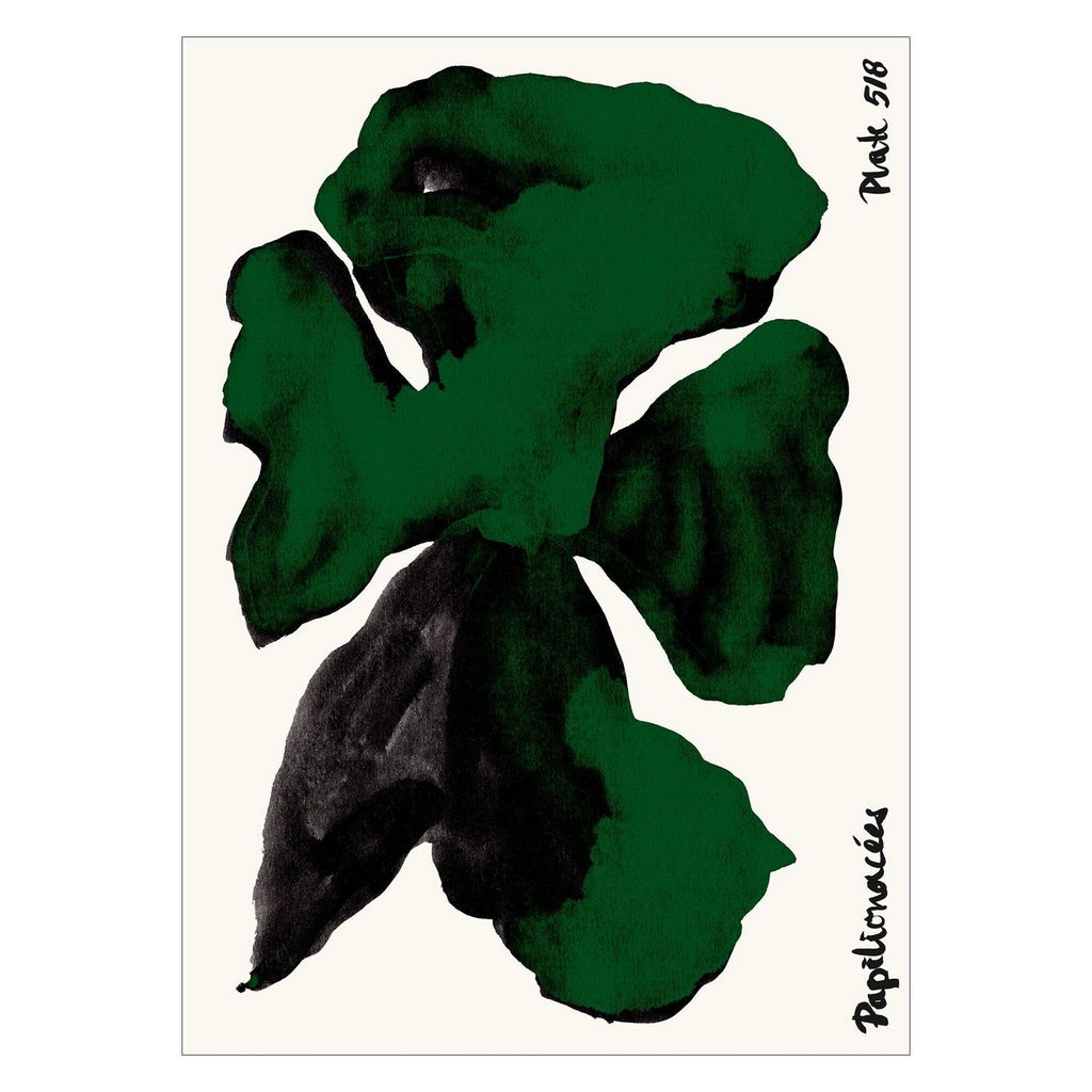 Kunstary – Papilionacées