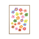 Ania Zwara - Rainbow Daisies