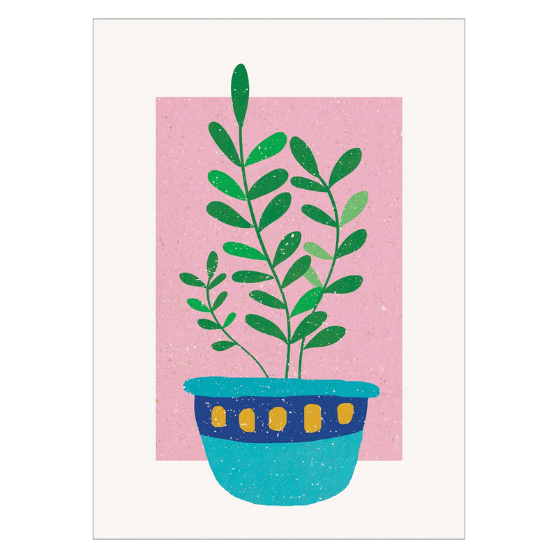 Aylin Demir - Planta al atardecer