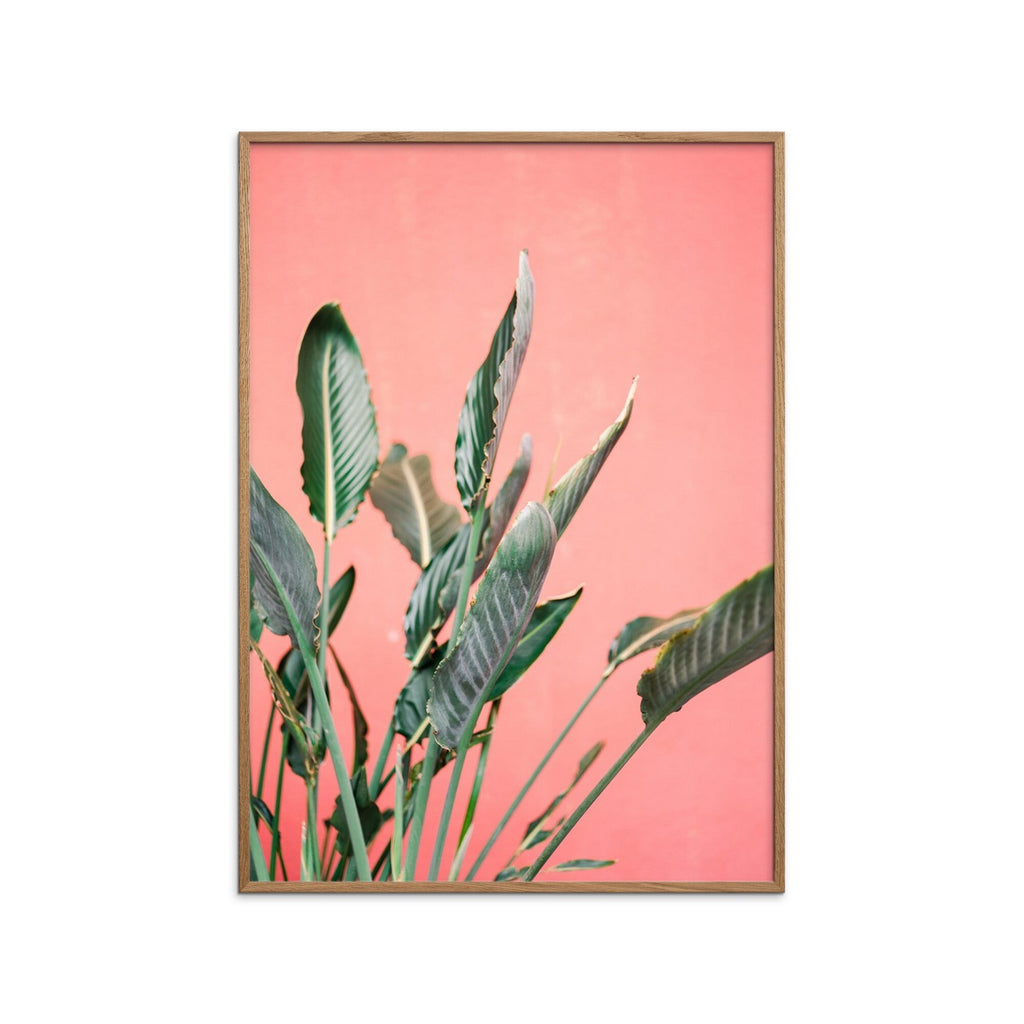 Raisa Zwart - South Of Spain 7