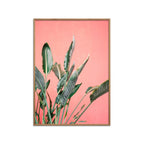 Raisa Zwart - South Of Spain 7