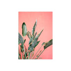 Raisa Zwart - South Of Spain 7