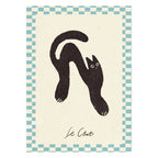 Nktn - Le Chat