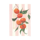 Casa Estampada Violetas - Naranjas Rayadas