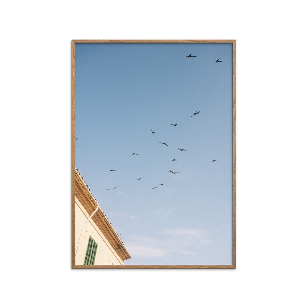 Outofalexcam - Looking Up In Santanyí