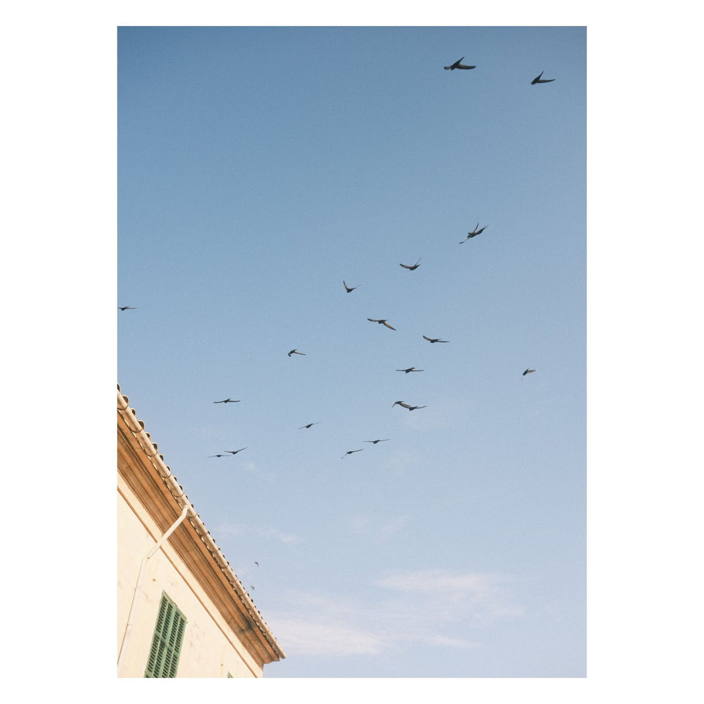 Outofalexcam - Looking Up In Santanyí