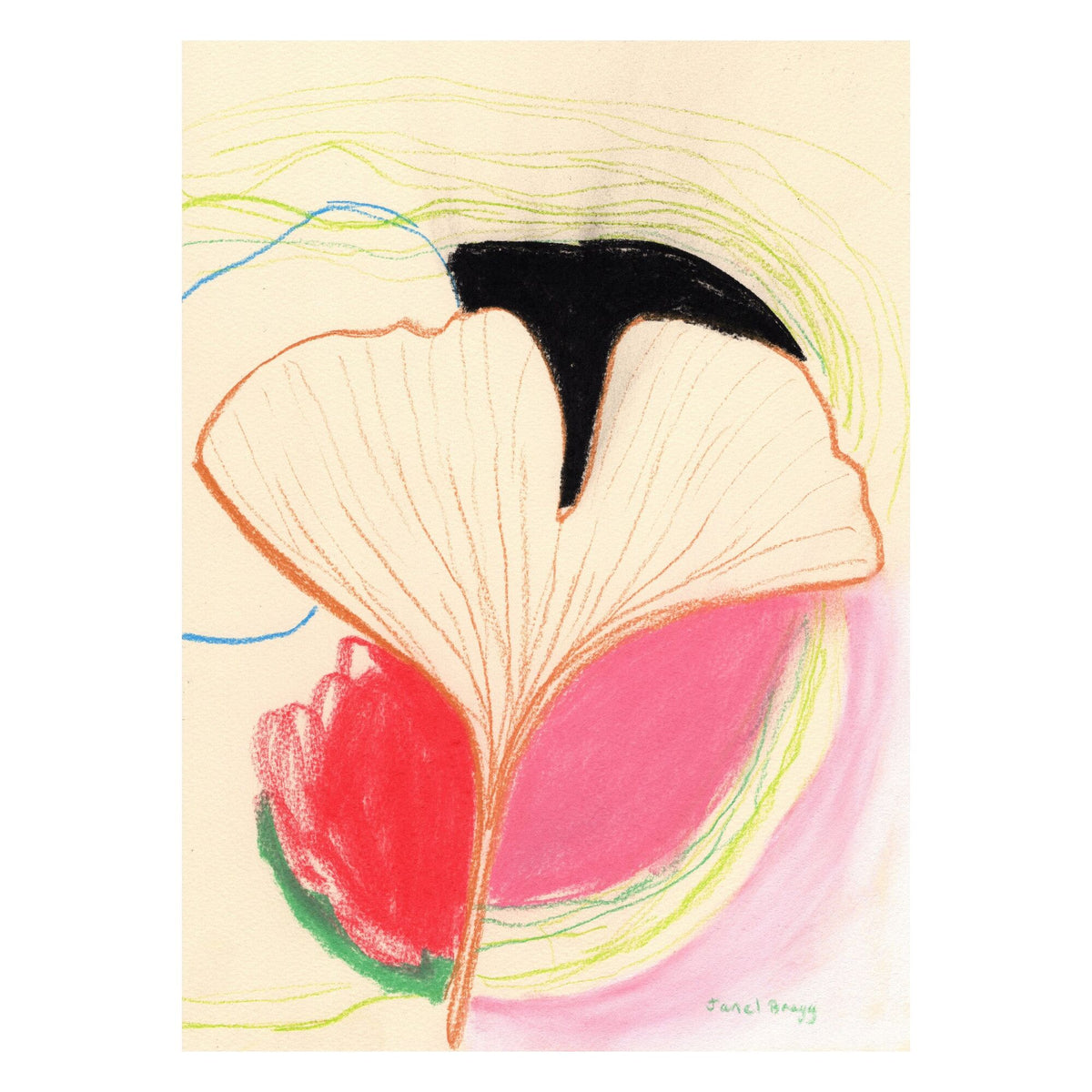 Janel Bragg - Ginkgo Leaves In Color II