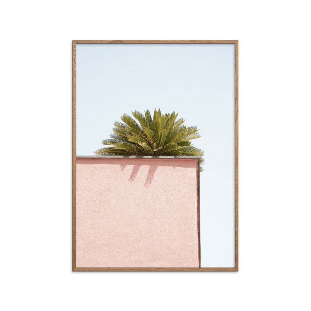 Henrike Schenk - Rincón tropical rosa