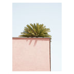 Henrike Schenk - Rincón tropical rosa