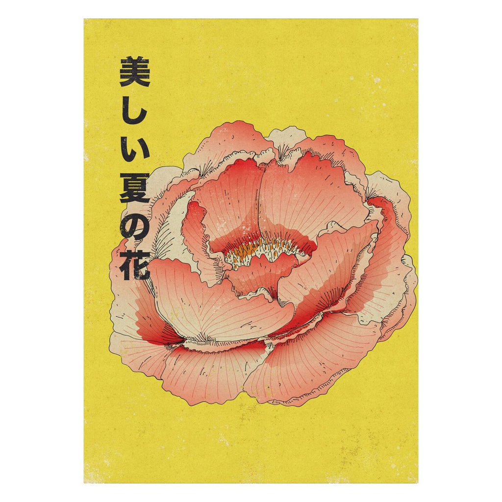Nicholas - Japanese Summer Peony